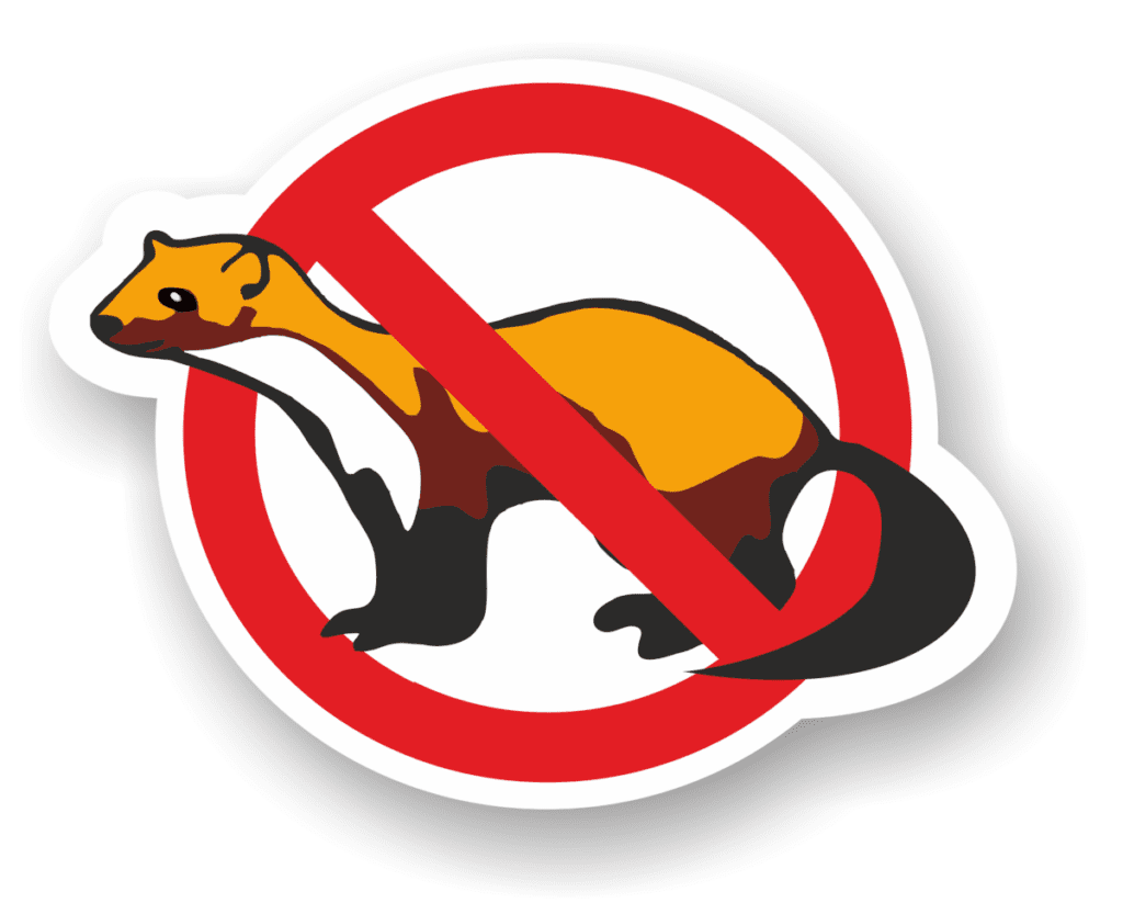 Na zdjęciu widzimy stylizowaną ilustrację zwierzęcia przypominającego kunę z czerwonym symbolem zakazu.