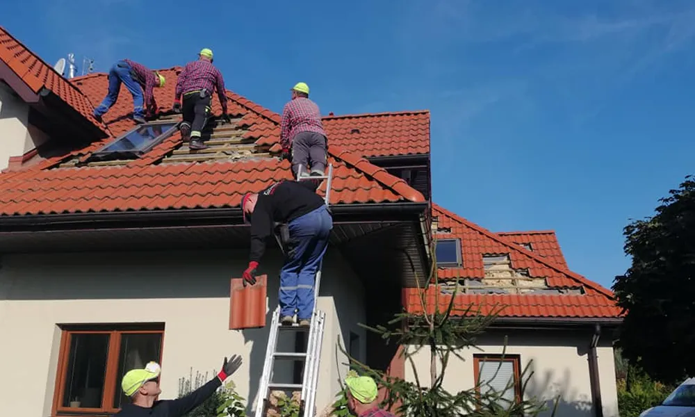 Naprawa izolacji po kunie